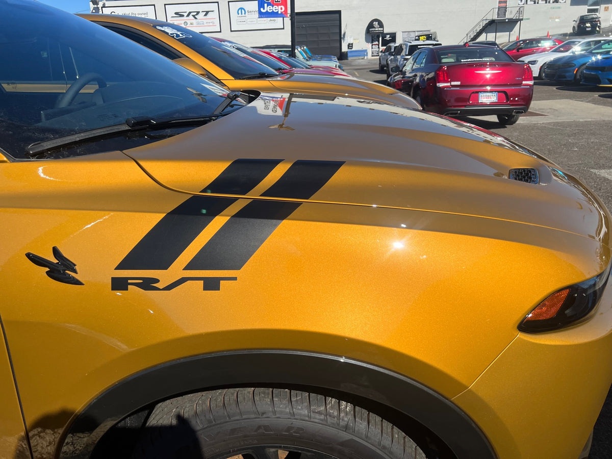 Fender Slash Decals for 2023-2024 Dodge Hornet (x2) – Acerbographix