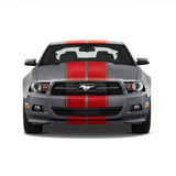 Dual 10" Racing Stripes w/pins Self Healing Vinyl fits Ford Mustang 2010 to 2014