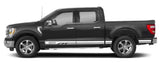 Side Rocker Decals For 2021-2024 Ford F-150 (x2)