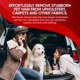 Anniversary Special All-in-One Bundle