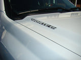 VORTEC Decals (set of 2) - Silverado