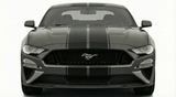 Dual 12" Racing Stripes w/pins Self Healing Vinyl fits Ford Mustang 2015 2023