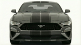 Dual 12" Racing Stripes w/pins Self Healing Vinyl fits Ford Mustang 2015 2023