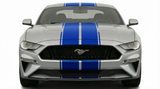 Dual 12" Racing Stripes w/pins Self Healing Vinyl fits Ford Mustang 2015 2023