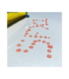 Glass Waterspot Removal & Protection Full Size Kit