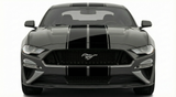 Dual 12" Racing Stripes w/pins Self Healing Vinyl fits Ford Mustang 2015 2023